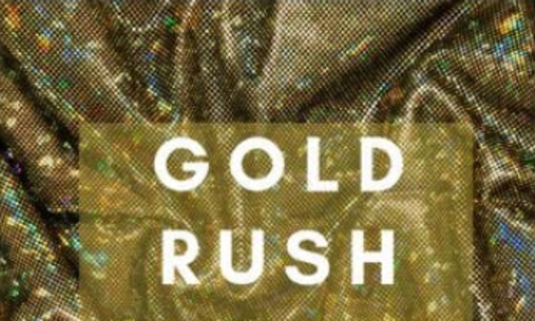 Men's Reversible Fur Vest