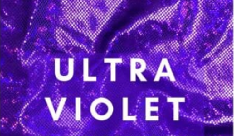 Men's Reversible Fur Vest