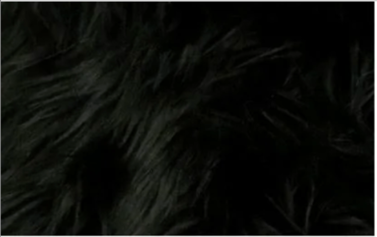 Women's Reversible Fur Vest