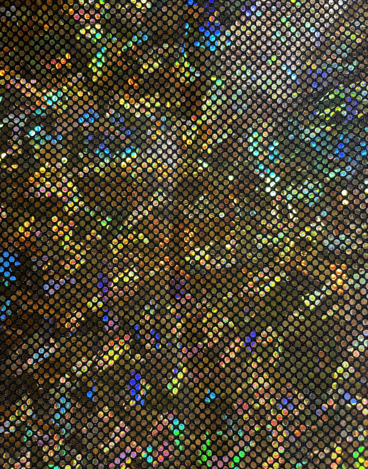 Holographic Hot Pants