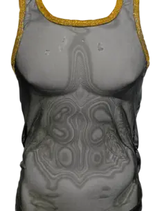 Contrast Glitter Trim Mesh Tank - Black Gold