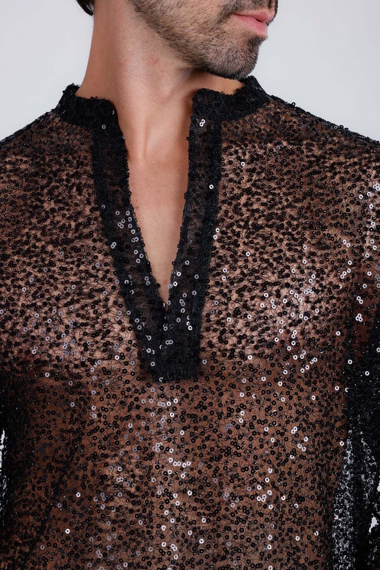 Black Sheer Sequin Long Sleeve V-Neck Shirt