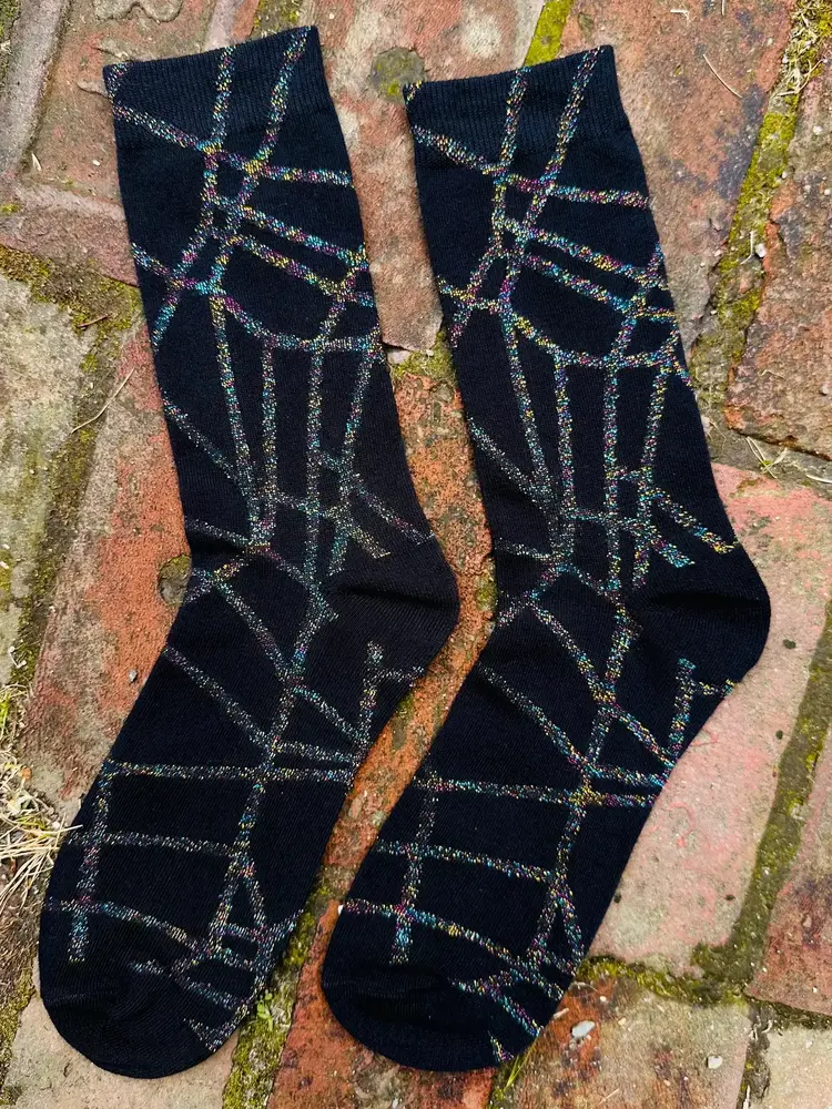 Midnight Rainbow Web Sock