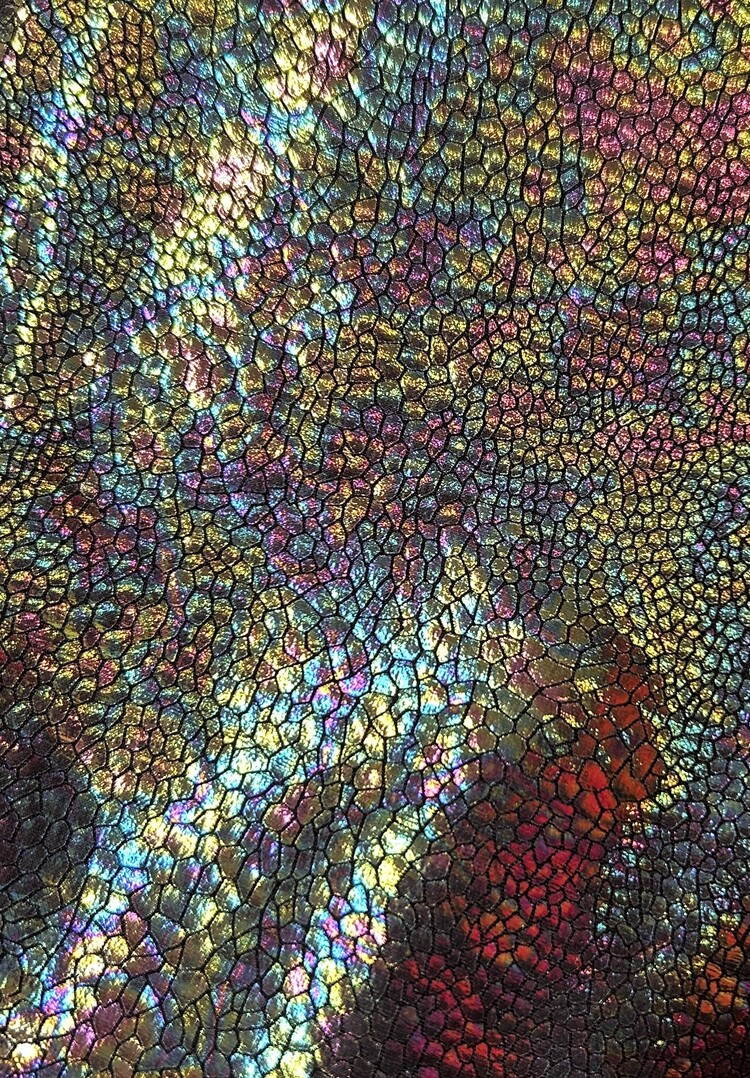 Holographic Shrug Cosmic Obsidian