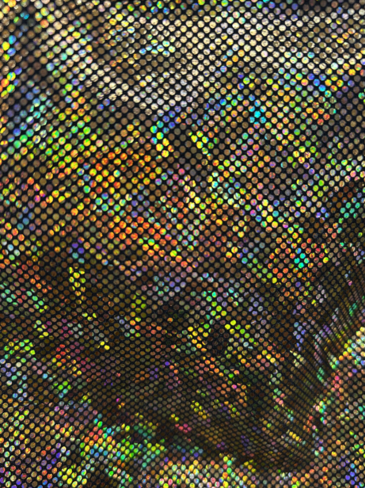 Holographic Hot Pants