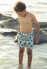 Emerson and Friends Pirate's Life Swim Trunks