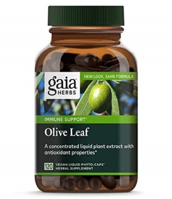 GAIA HERBS Gaia Olive Leaf, 60cp - DISCO
