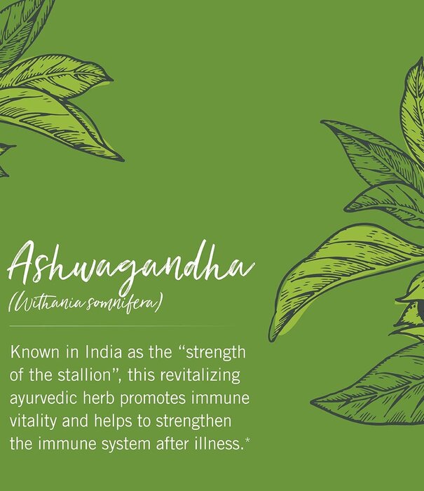 GAIA HERBS Gaia Ashwagandha, 60cp