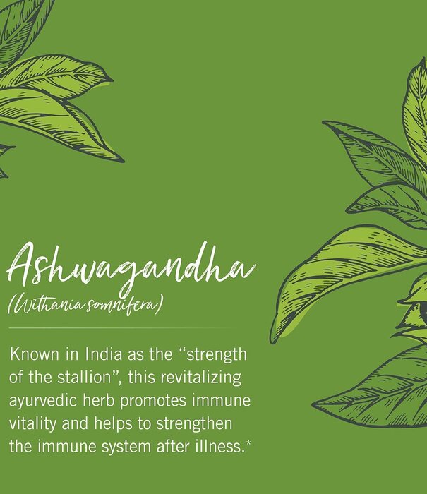 GAIA HERBS Gaia Ashwagandha, 120cp