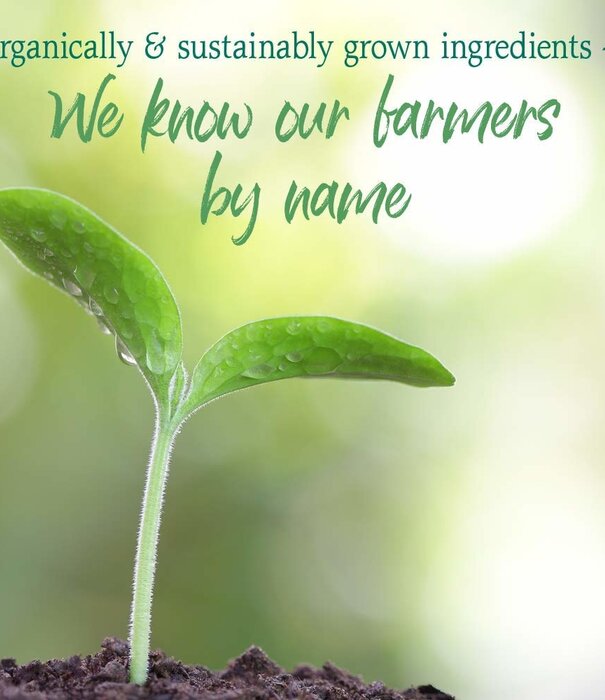 Garden of Life GoL Raw Organic Perfect Food, Alkalizer & Detoxifier, 10.1oz.