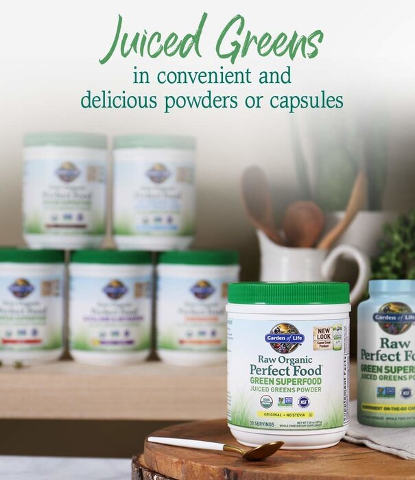 Garden of Life GoL Raw Organic Perfect Food, Alkalizer & Detoxifier, 10.1oz.