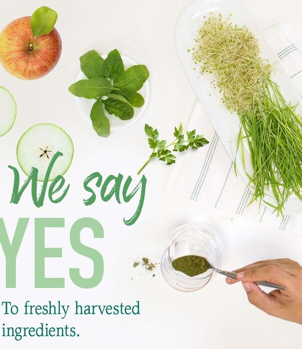 Garden of Life GoL Raw Organic Perfect Food, Alkalizer & Detoxifier, 10.1oz.