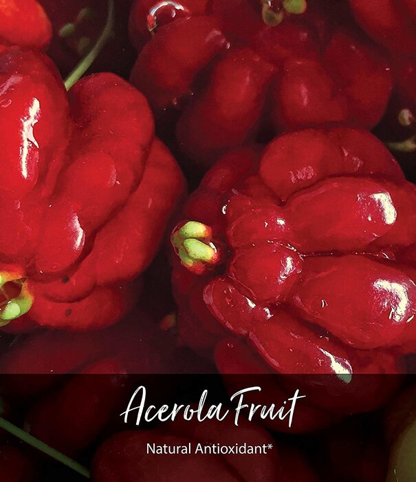 GAIA HERBS Gaia Kids Black Elderberry Syrup, 3oz.