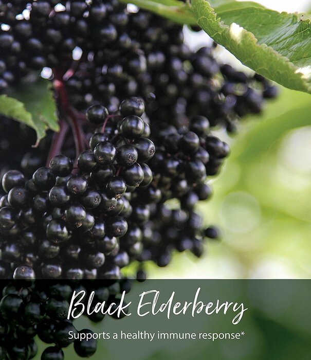 GAIA HERBS Gaia Kids Black Elderberry Syrup, 3oz.