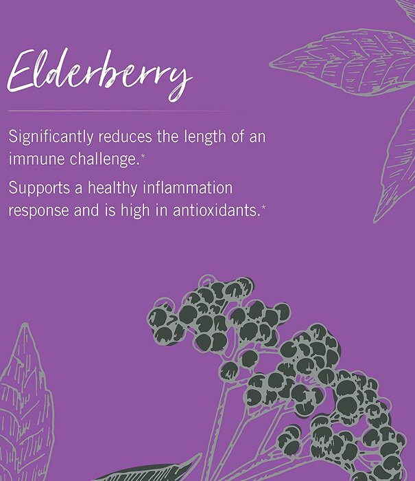 GAIA HERBS Gaia Black Elderberry, 60cp