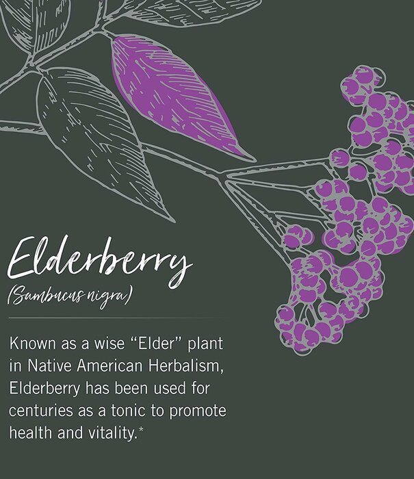 GAIA HERBS Gaia Black Elderberry Extra Strength Syrup, 3oz.