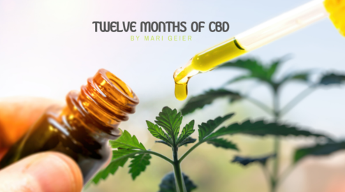 12 MONTHS OF CBD