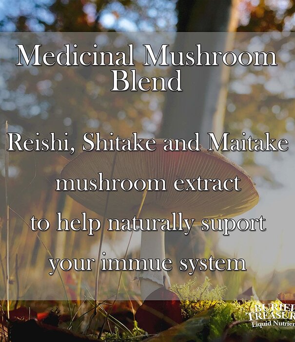 BURIED TREASURE Buried Treasure Daily Adult Immune Wellness, 16oz.