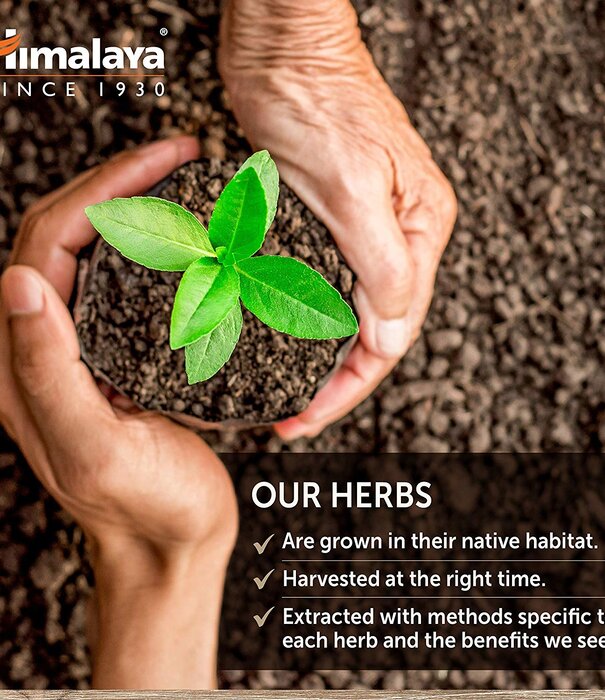 Himalaya Himalaya Bacopa, 60cp