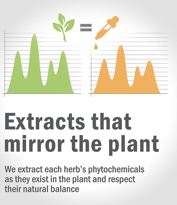 Herb Pharm Echincacea, 1oz.