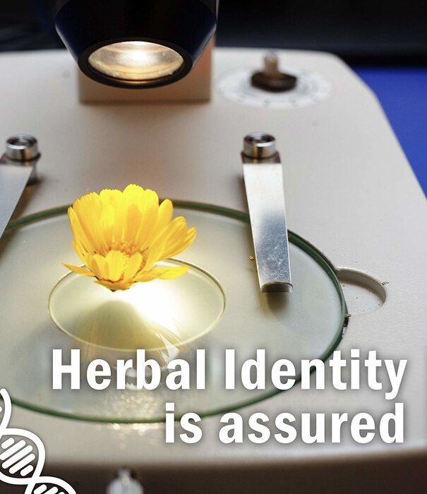 Herb Pharm Echincacea, 1oz.