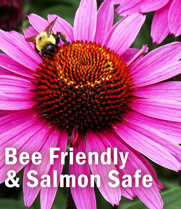 Herb Pharm Echincacea, 1oz.