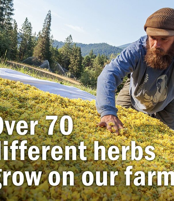 Herb Pharm Echincacea, 1oz.