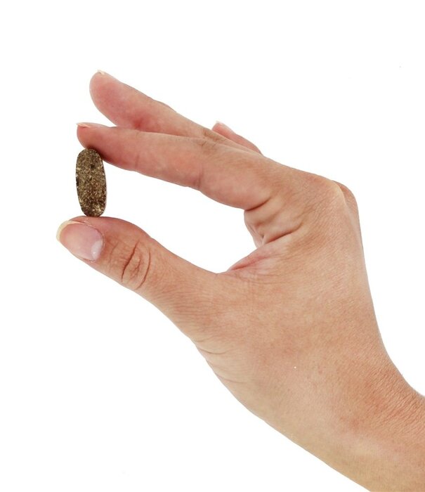 Source Naturals Wellness Formula, 180t