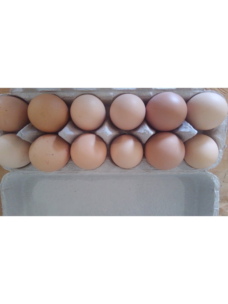 WAUKA MEADOWS FARM Wauka Farms Local Eggs, 1 Dozen