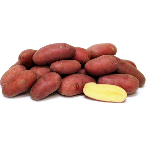 Fresh Point Organics Potato French Fingerling, Albert Bartlett, Organic, 1.5lb. Fresh Point Organics Potato French Fingerling, Albert Bartlett, Organic, 1.5lb.