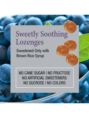 Zand Zand Elderberry Zinc Herbalozenge, Blueberry, 18lz