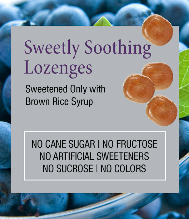 Zand Zand Elderberry Zinc Herbalozenge, Blueberry, 18lz