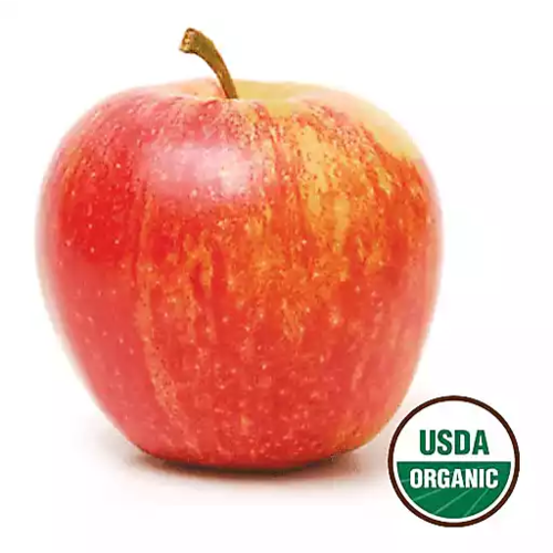 Fresh Point Organics Apple, Gala, Organic, EACH Fresh Point Organics Apple, Gala, Organic, EACH