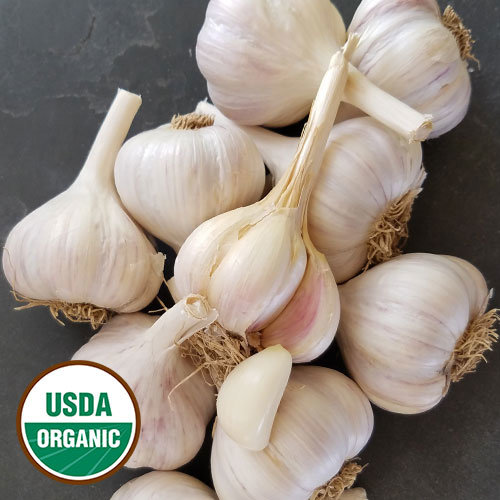 Fresh Point Organics Garlic, Organic - EACH Fresh Point Organics Garlic, Organic - EACH