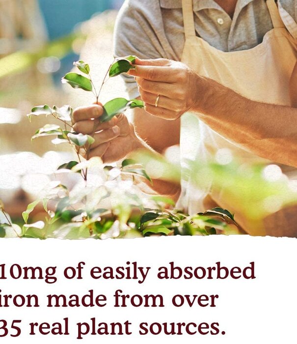 Garden of Life GoL myKIND Organics Plant-Sourced Iron+Herbs (Cran-Lime), 8oz.