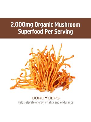 OM Mushroom Om Mushroom Cordyceps Mushroom Superfood Powder, 100g