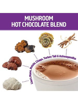 OM Mushroom Om Mushroom Powdered Hot Chocolate, 10ct. - T