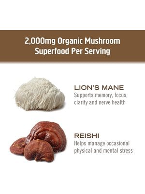 OM Mushroom Om Mushroom Brain Fuel, 90vc - T