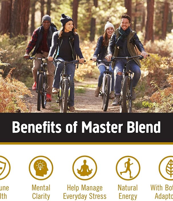 OM Mushroom Om Mushroom Masterblend Powder, 90G