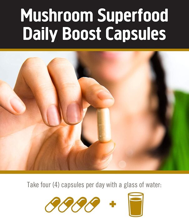 OM Mushroom Om Mushroom Daily Boost, Masterblend, 80cp