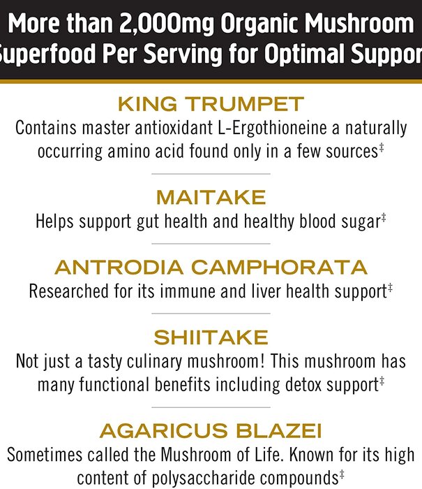 OM Mushroom Om Mushroom Daily Boost, Masterblend, 80cp