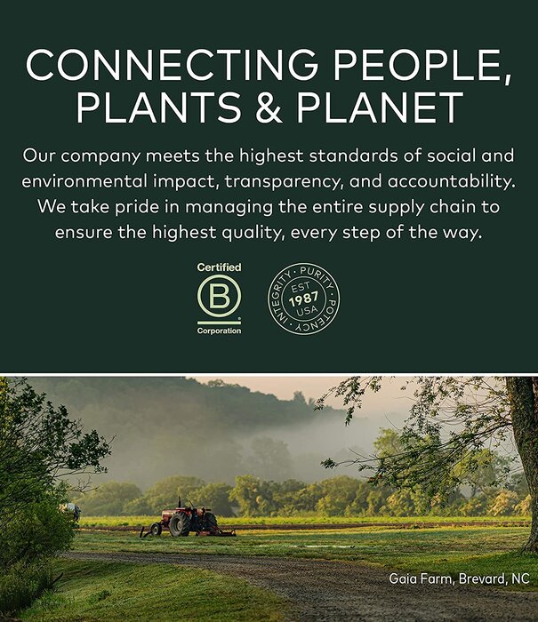 GAIA HERBS Gaia Bronchial Wellness Syrup 5.4oz