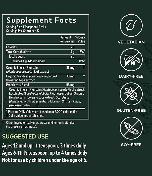 GAIA HERBS Gaia Bronchial Wellness Syrup 5.4oz