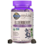GoL Organics Herbal Elderberry Gummies, 120ct