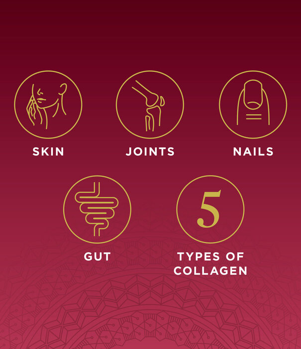 Ancient Nutrition Ancient Nutrition Collagen Complex, 90cp.