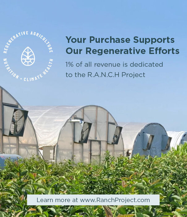 Ancient Nutrition Ancient Nutrition SBO Probiotic, Once Daily, Vaginal, 30ct.