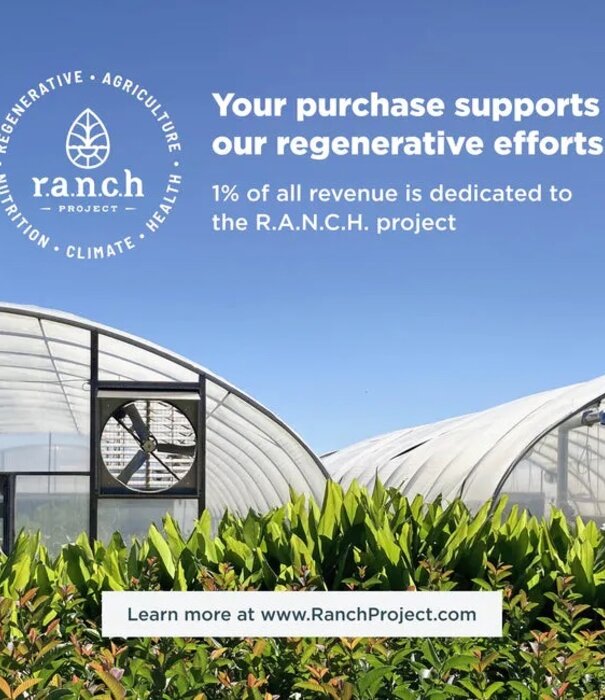 Ancient Nutrition Ancient Nutrition Bone Broth Protein, Salted Caramel,  20srv