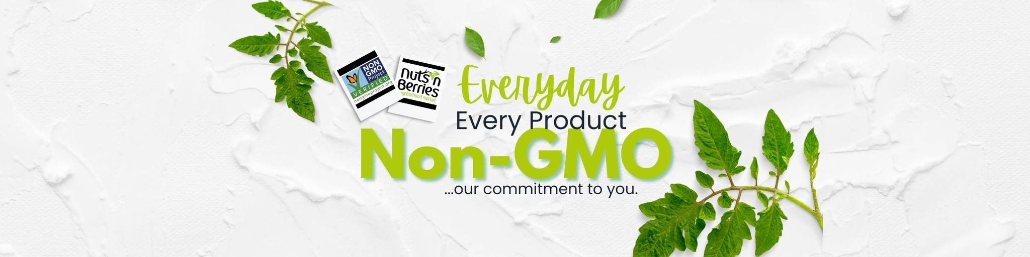 What is Non-GMO and Why you don't have to worry about it