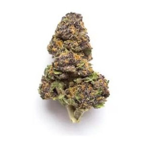 LUNA CBD Luna Weekend+ AGENT ORANGE, THCA Flower, 3.5oz LUNA CBD Luna Weekend+ AGENT ORANGE, THCA Flower, 3.5oz