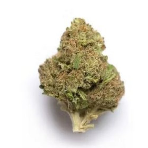 LUNA CBD Luna Weekend+ DJ SHORT BLUEBERRY, THCA Flower, 3.5oz LUNA CBD Luna Weekend+ DJ SHORT BLUEBERRY, THCA Flower, 3.5oz